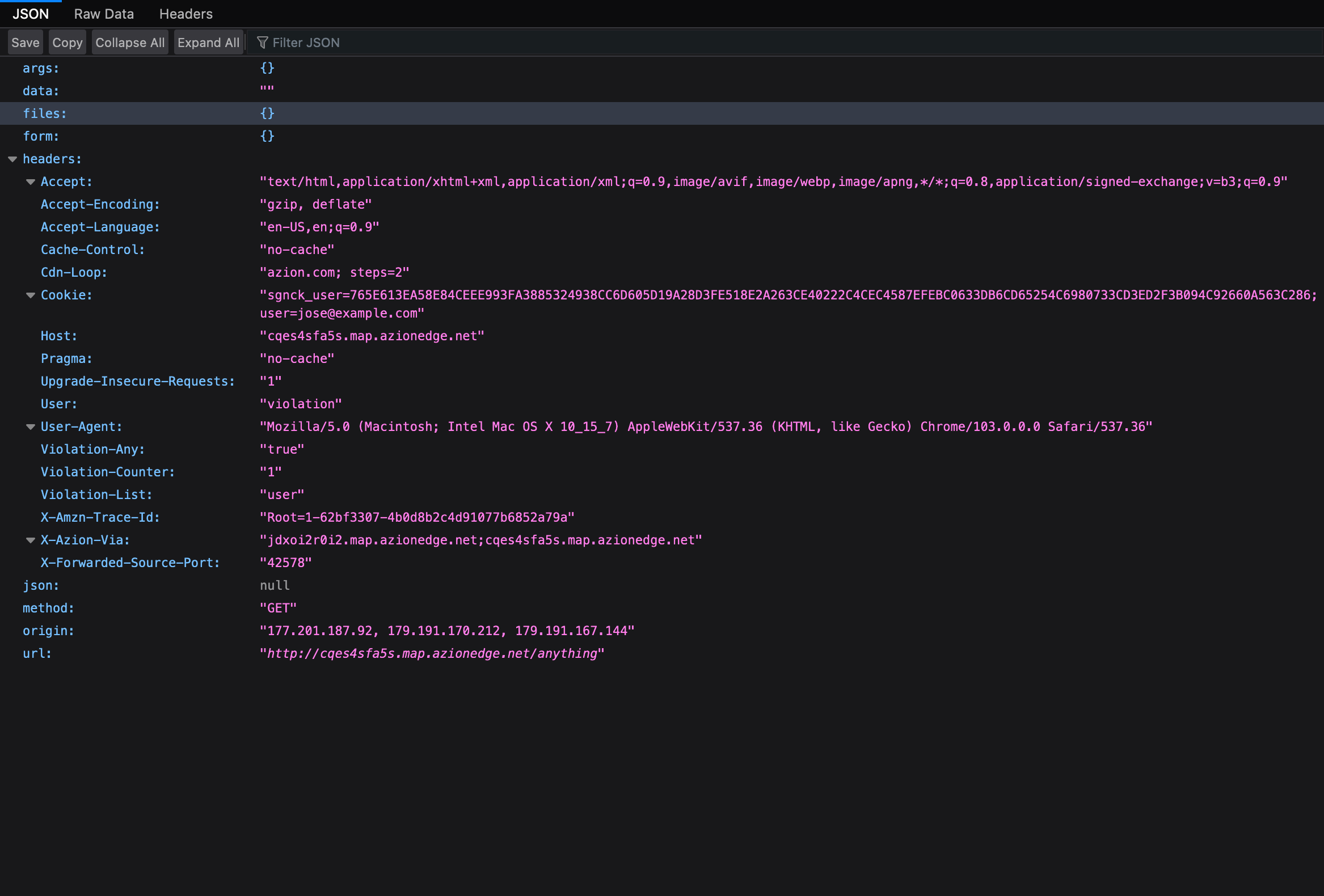 Image showing how to protect applications from session theft