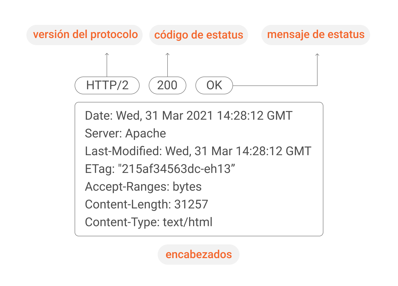 Respuesta HTTP Imagen con respuesta HTTP