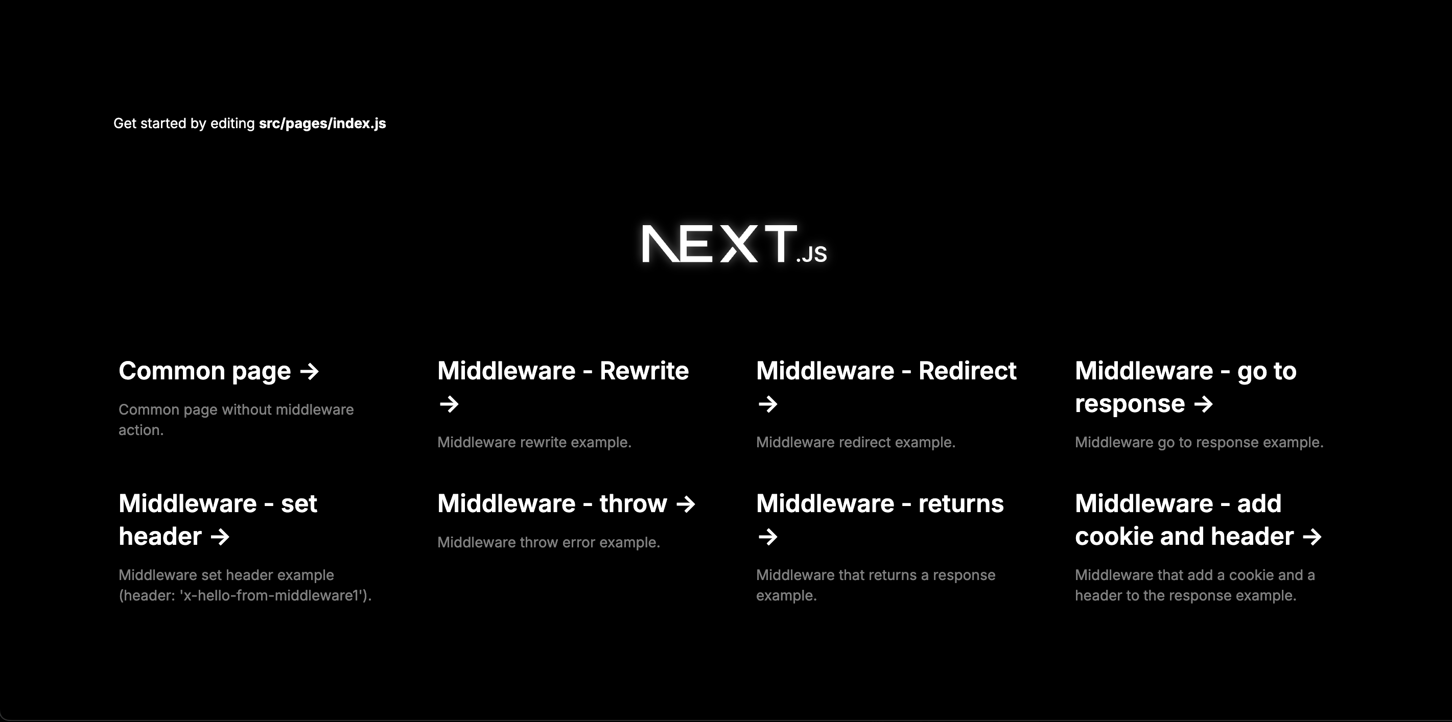 Next js app middleware template